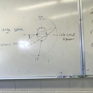 Meet your Posher, Tomas